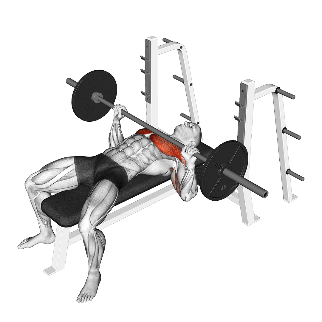 Barbell bench press full range of motion demonstration