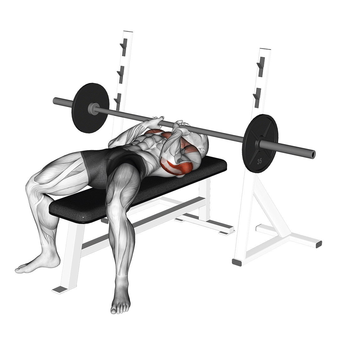 Barbell Close-Grip Bench Press — Exercise Guide | YourFit.ai | YourFit.ai