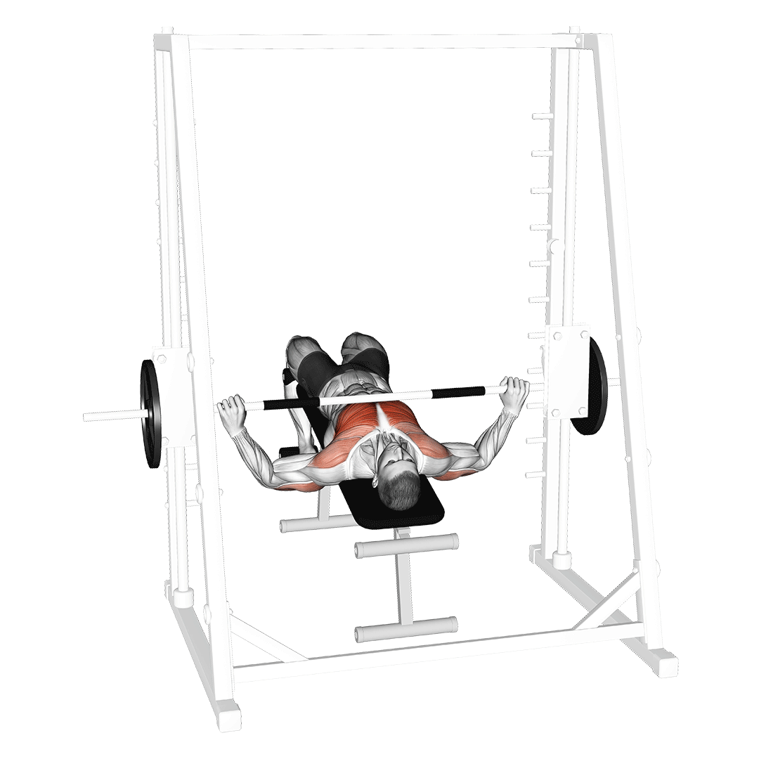 Smith Wide Grip Decline Bench Press — Exercise Guide | YourFit.ai ...